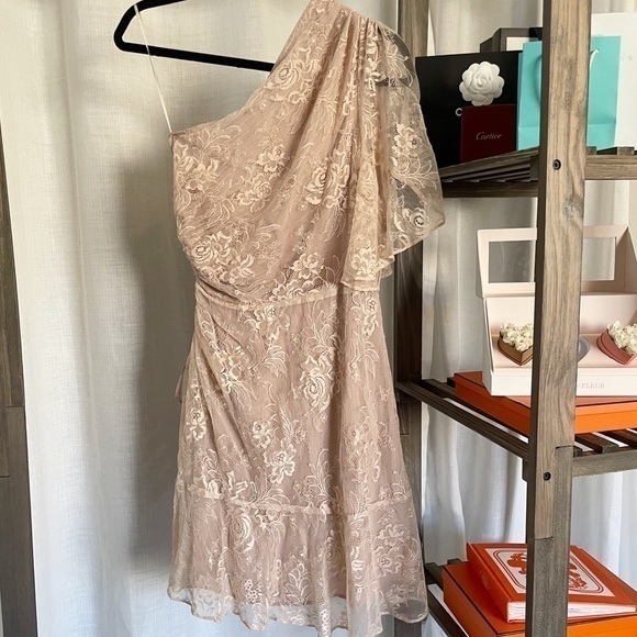 A.L.C. One Shoulder Lace Blush Dress - Picture 4 of 15